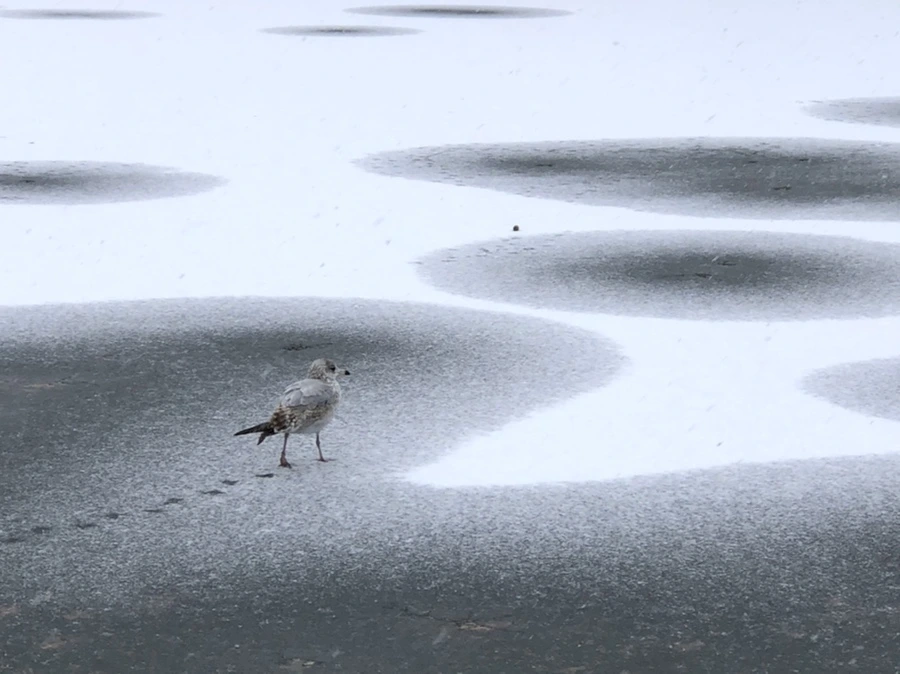 IMG_5965.jpg?type=w966