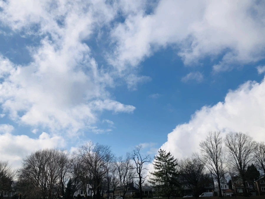 IMG_3518.jpg?type=w966