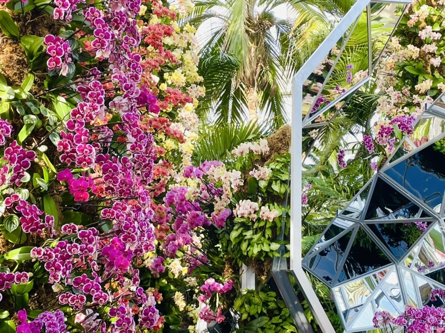 IMG_4440.jpg?type=w966