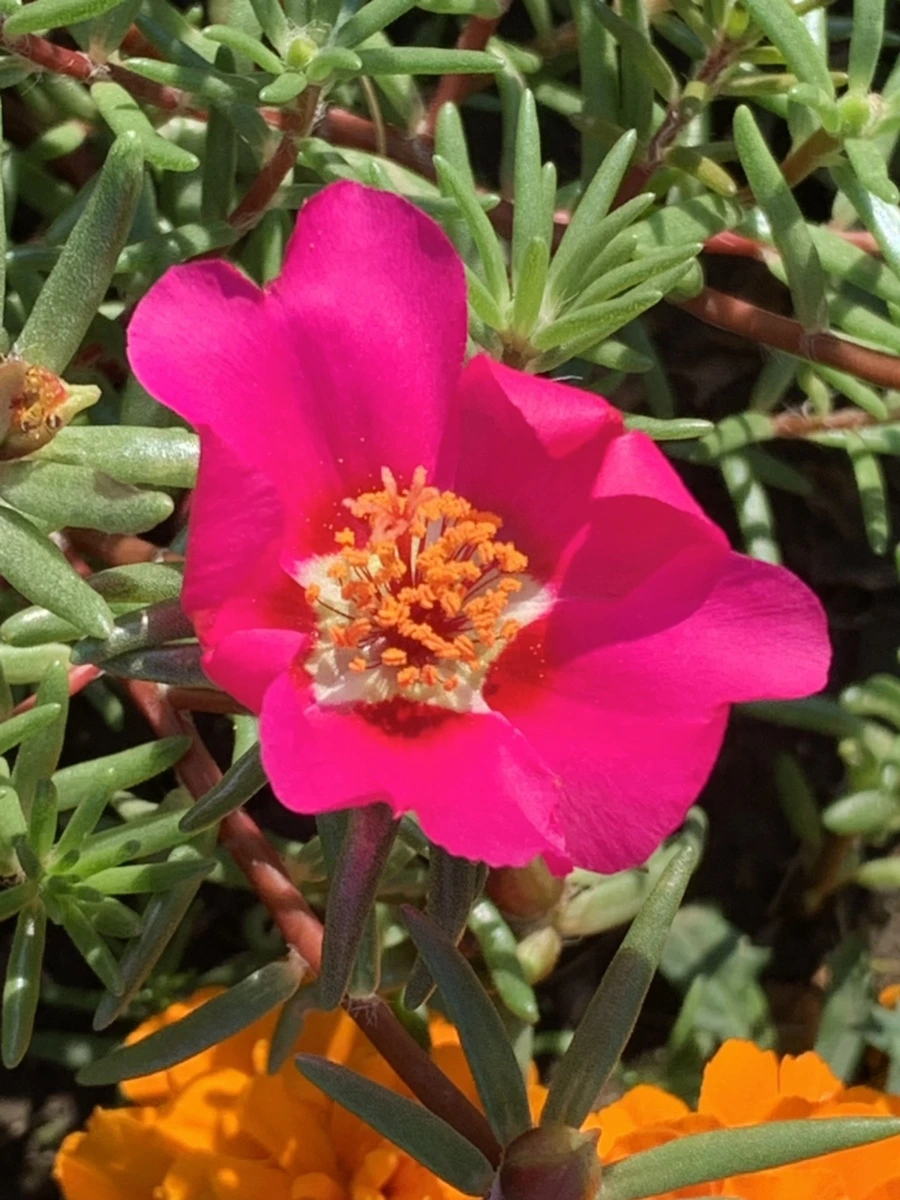 IMG_8386.jpg?type=w966