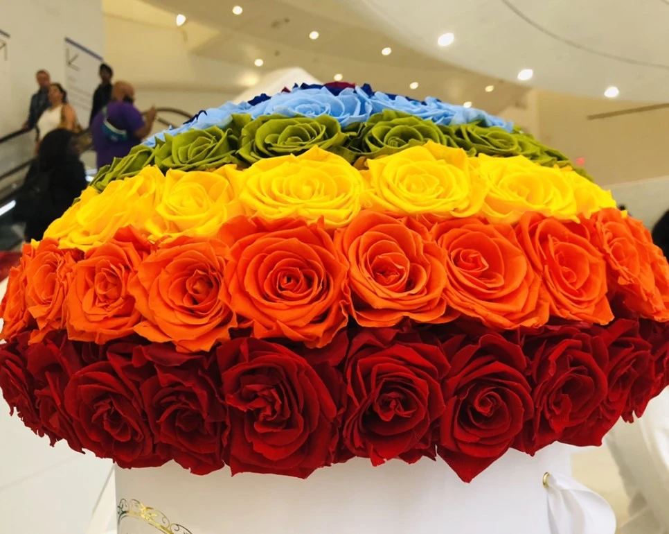 IMG_6781.jpg?type=w966