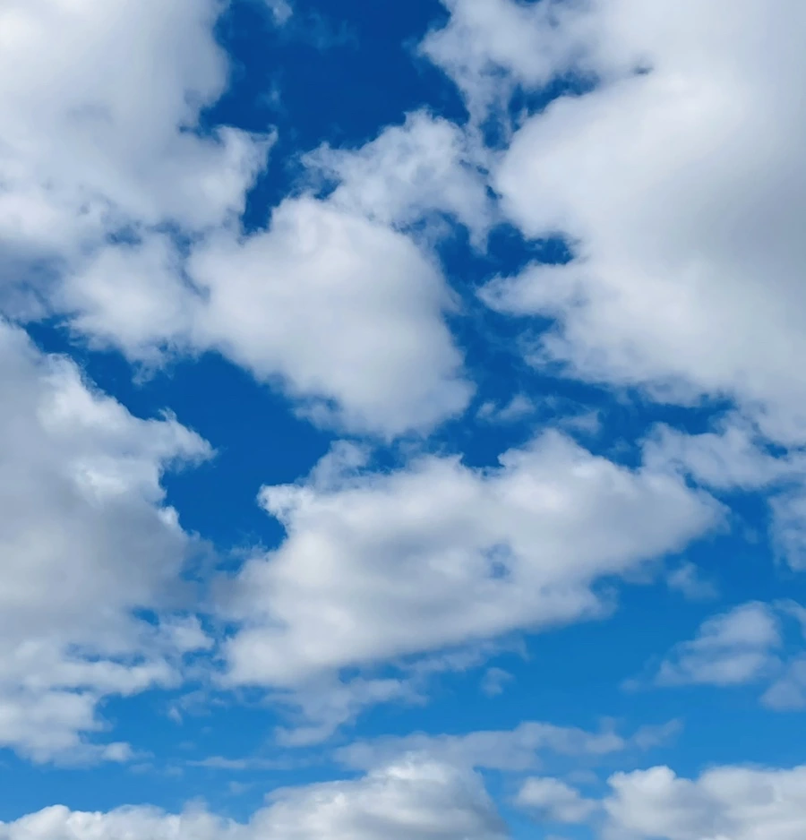 IMG_7592.jpg?type=w966