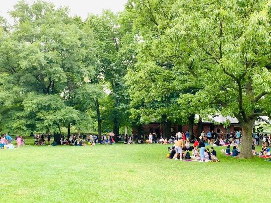 IMG_3336.jpg?type=w966