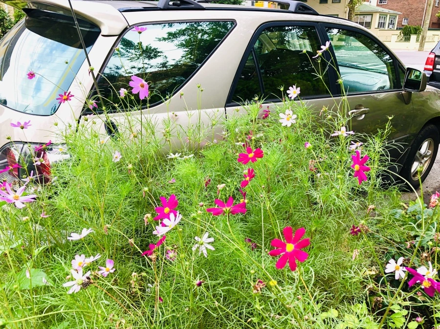 IMG_4133.jpg?type=w966