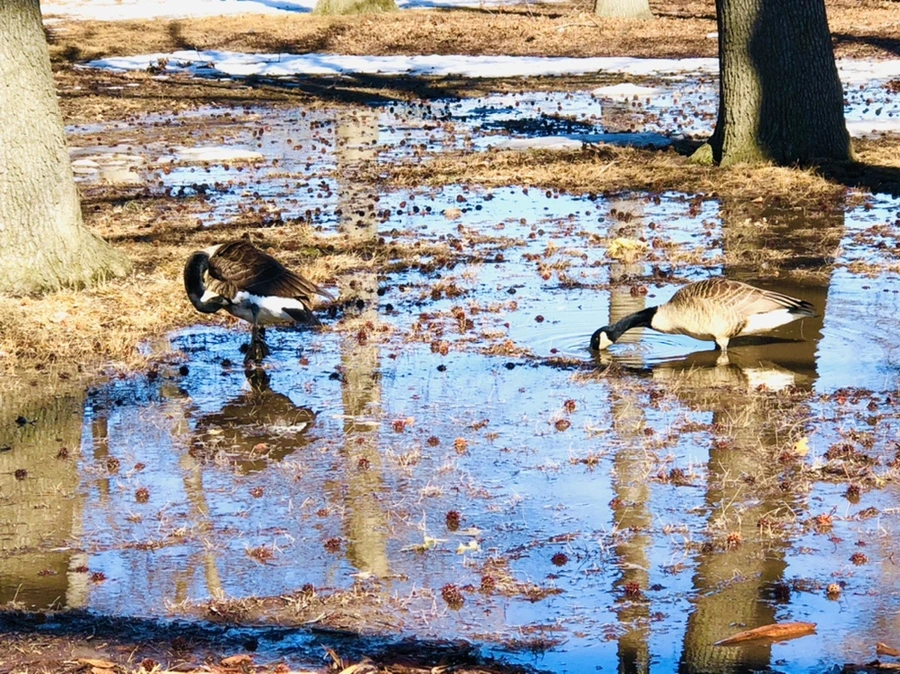 IMG_4665.jpg?type=w966