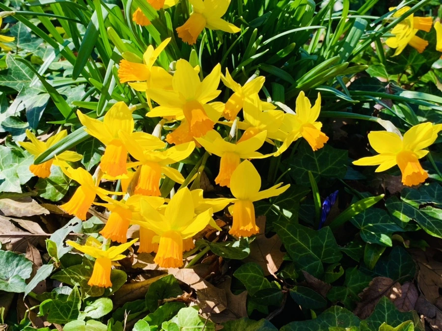 IMG_5729.jpg?type=w966