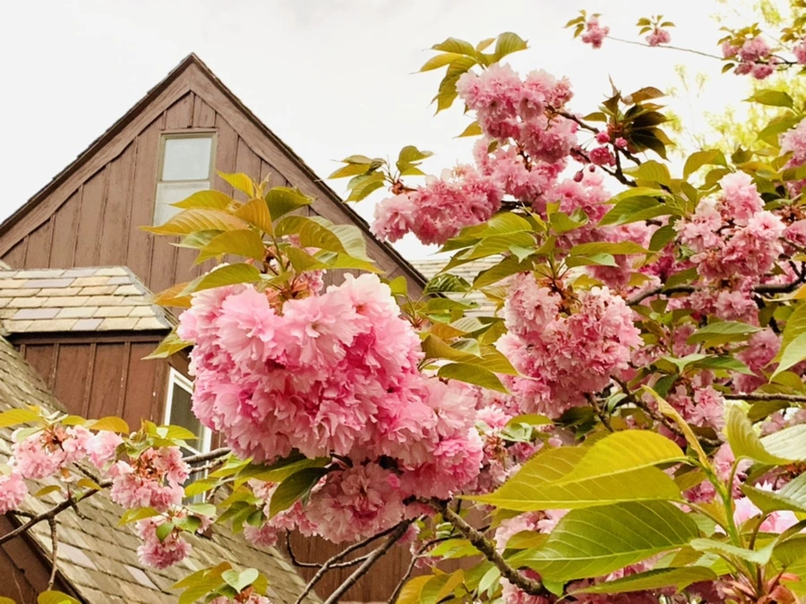 IMG_7157.jpg?type=w966