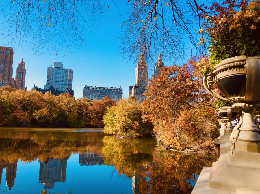 IMG_3908.jpg?type=w966