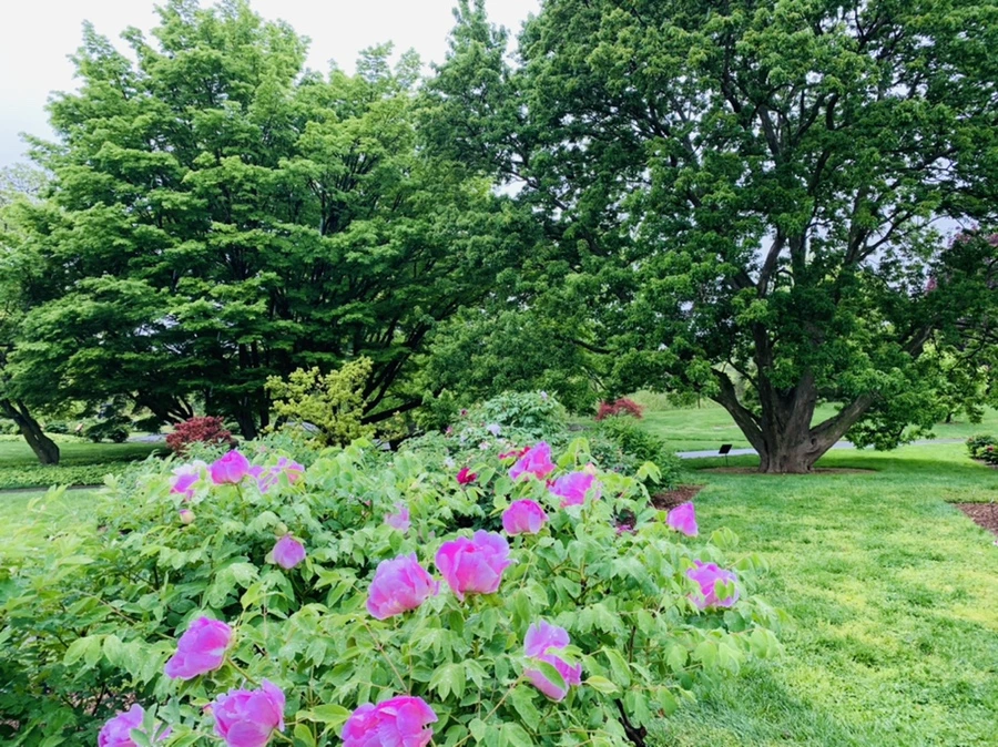 IMG_9963.jpg?type=w966