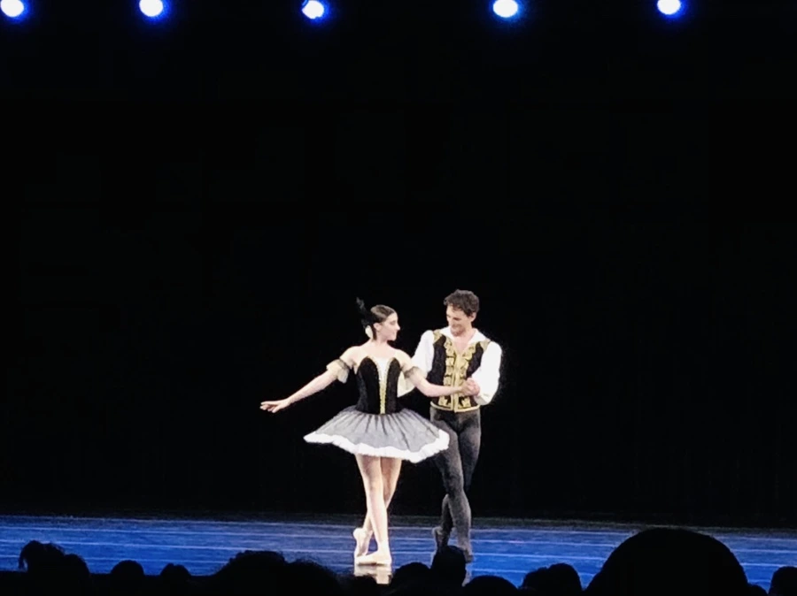 IMG_3317.jpg?type=w966