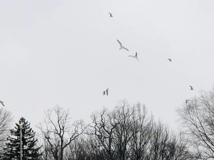 fkjTmhyRbrYwFro3RO9uh4s-jj4