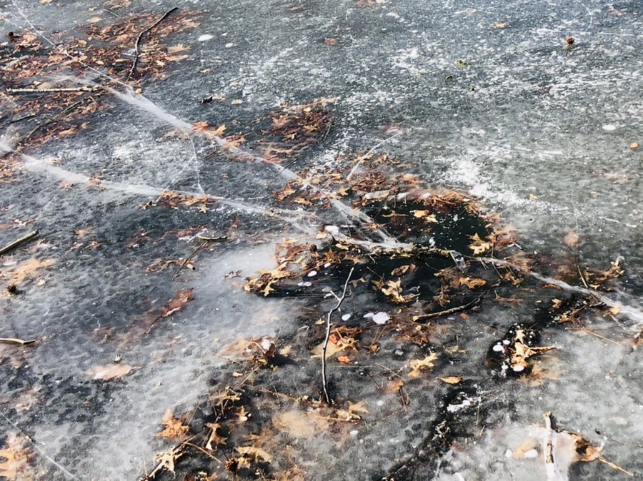 IMG_7916.jpg?type=w966