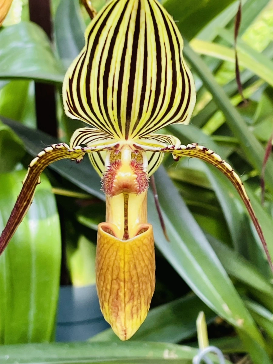 IMG_4474.jpg?type=w966