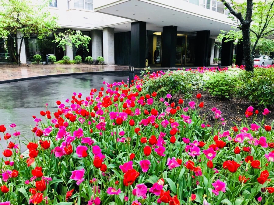 IMG_5835.jpg?type=w966