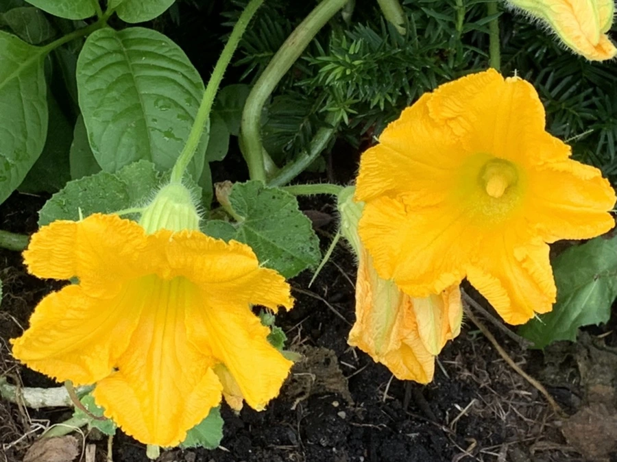 IMG_9088.jpg?type=w966