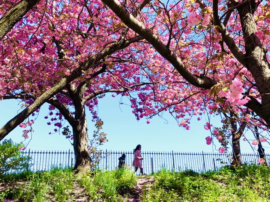 IMG_5954.jpg?type=w966