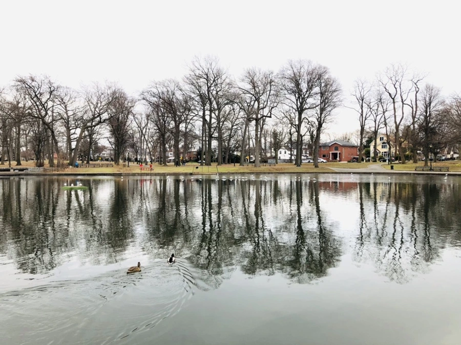 IMG_0983.jpg?type=w966