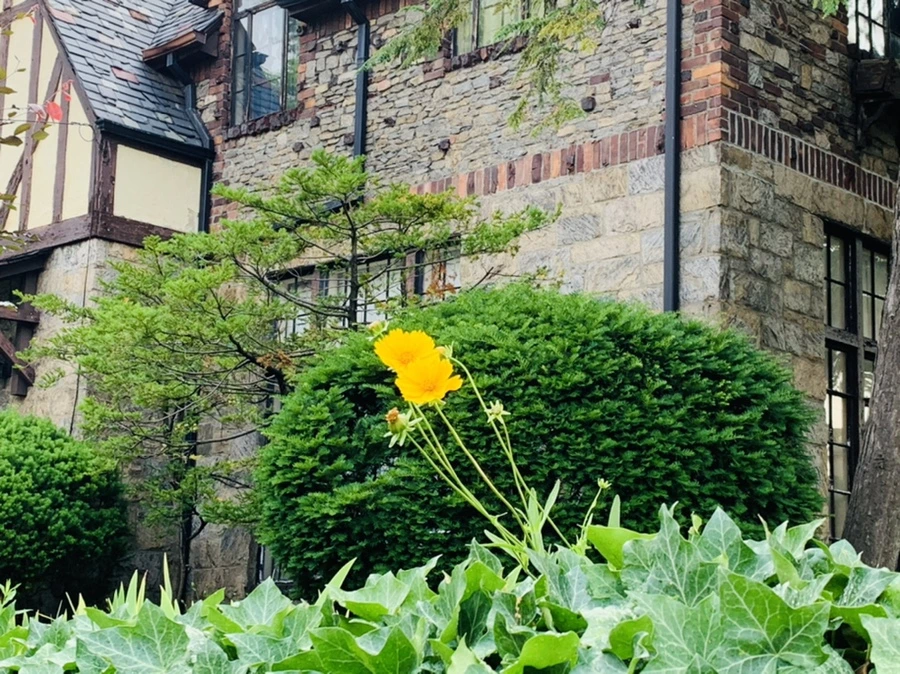 IMG_5024.jpg?type=w966