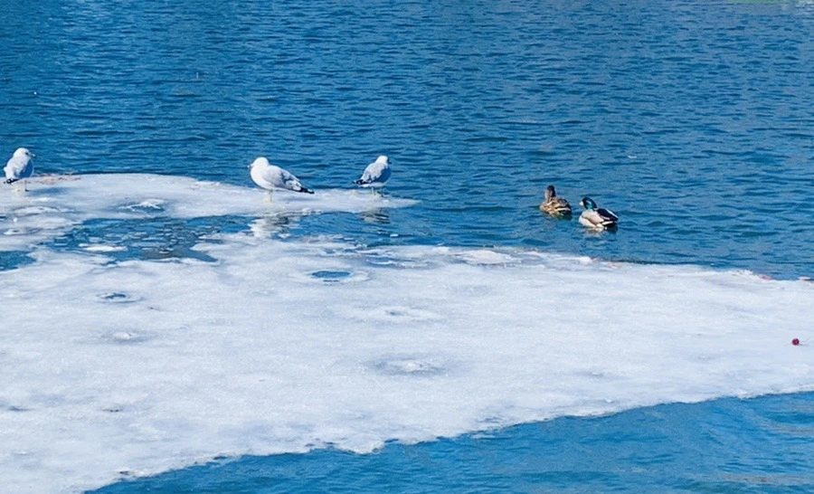 to9L-CKTFQ-lyzI79cPqYNrrmCU