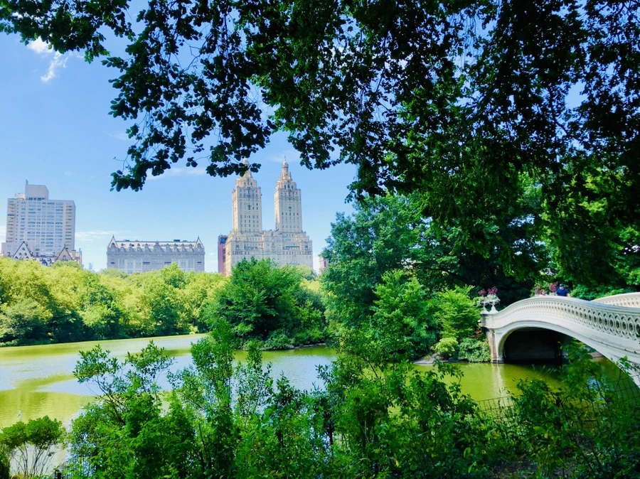 IMG_5736.jpg?type=w966