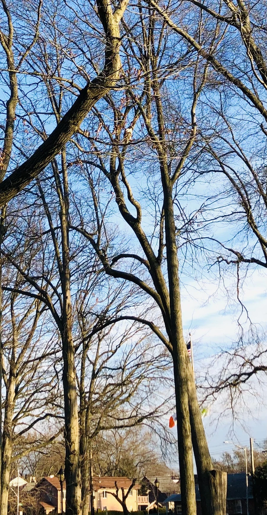 IMG_4837.jpg?type=w966