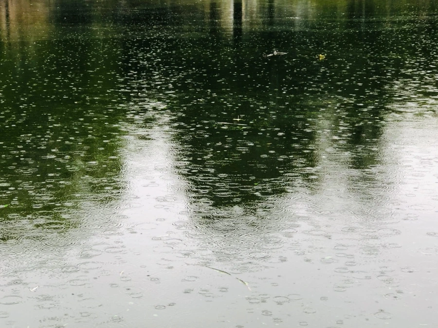 IMG_3246.jpg?type=w966