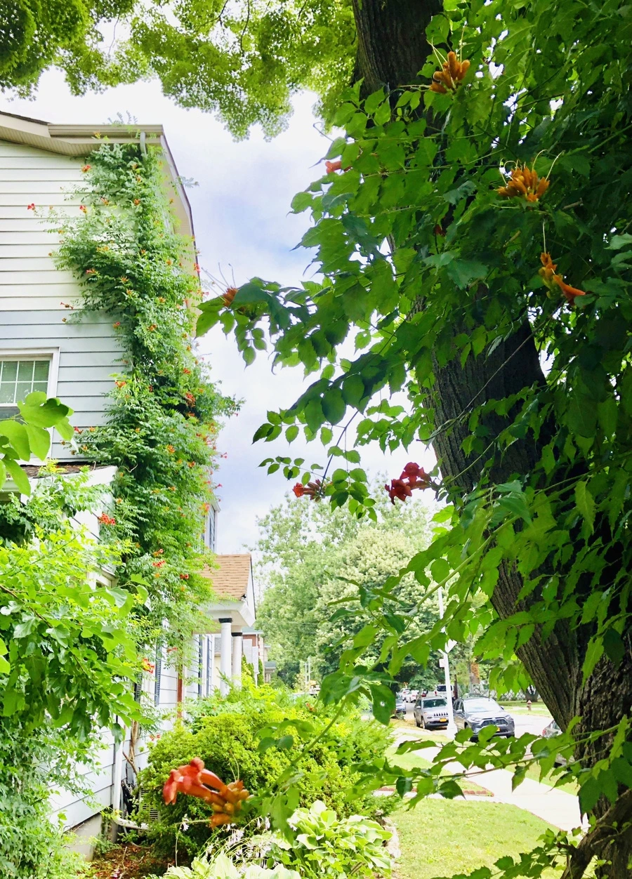 IMG_2180.jpg?type=w966