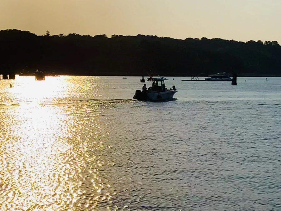 IMG_1331.jpg?type=w966