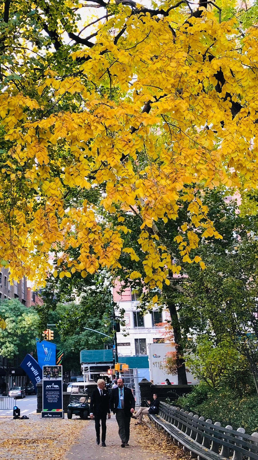 IMG_7225.jpg?type=w966