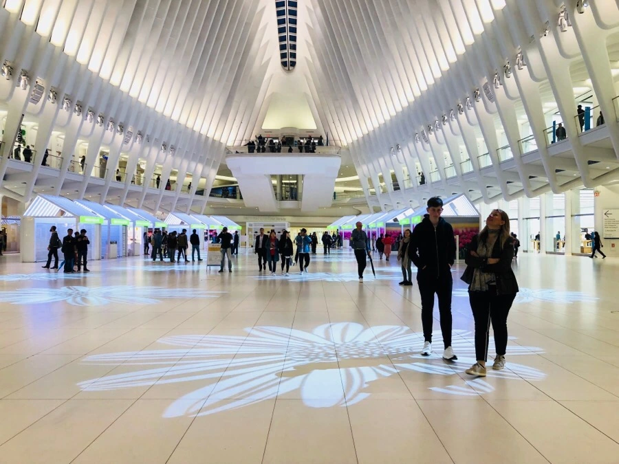 IMG_6102.jpg?type=w966