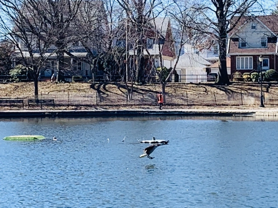 IMG_7530.jpg?type=w966