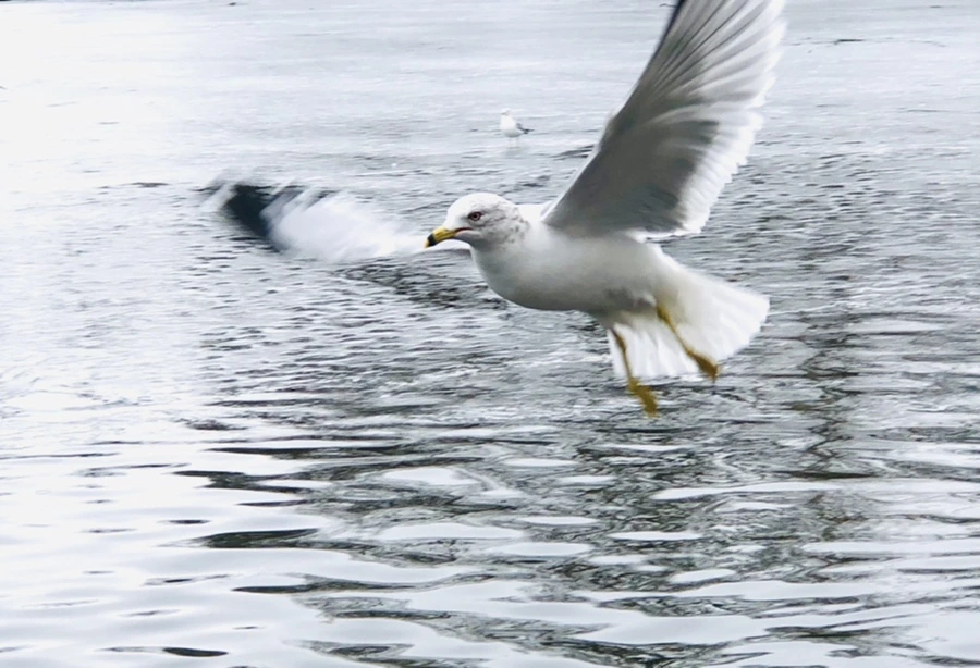 IMG_5841.jpg?type=w966