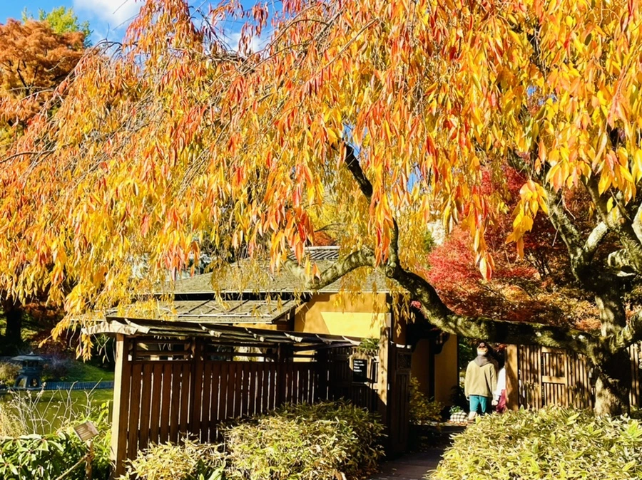 IMG_3163.jpg?type=w966