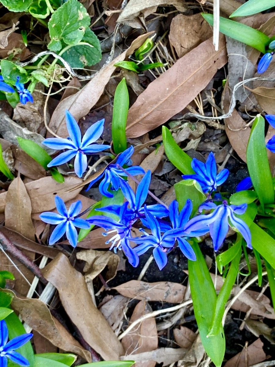 IMG_5658.jpg?type=w966