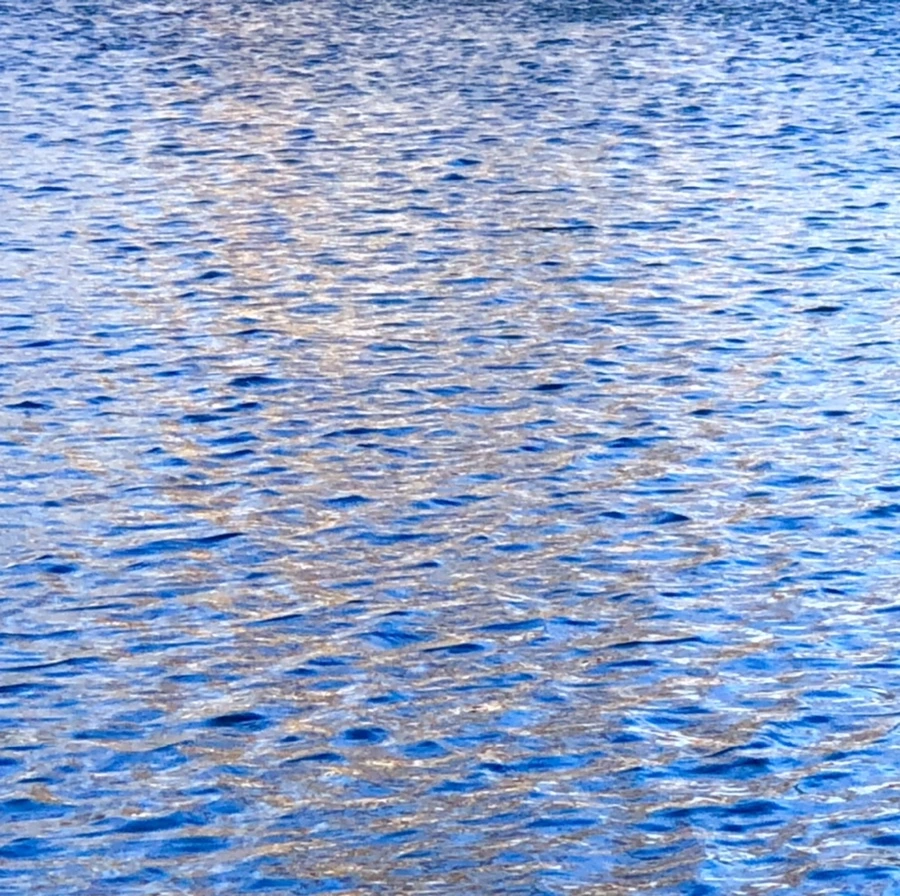 IMG_3774.jpg?type=w966