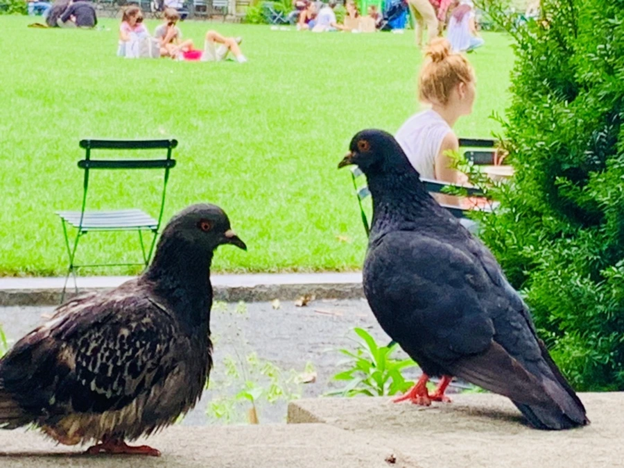 IMG_5022.jpg?type=w966