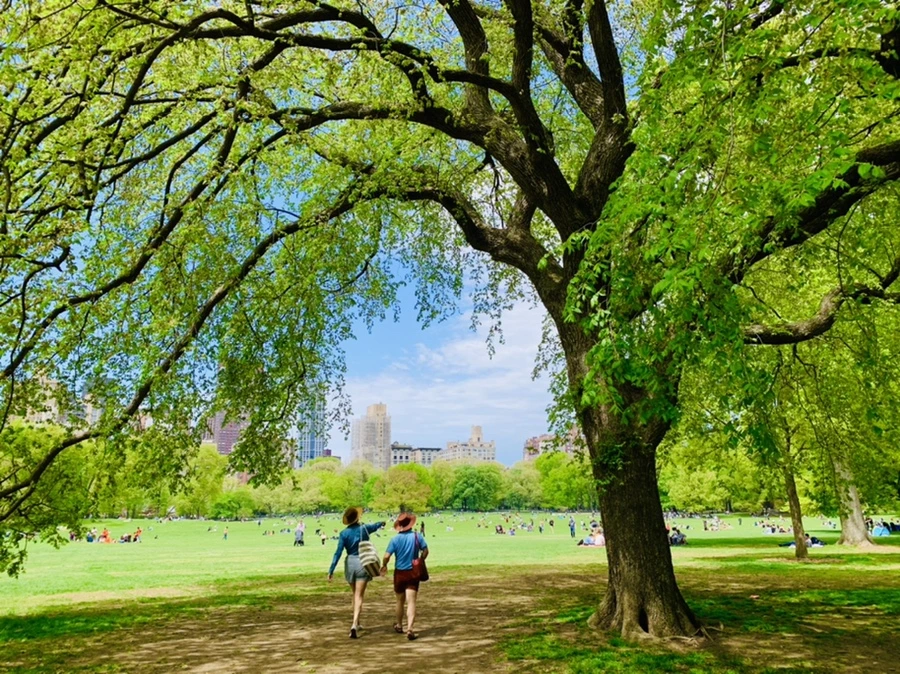 IMG_8779.jpg?type=w966