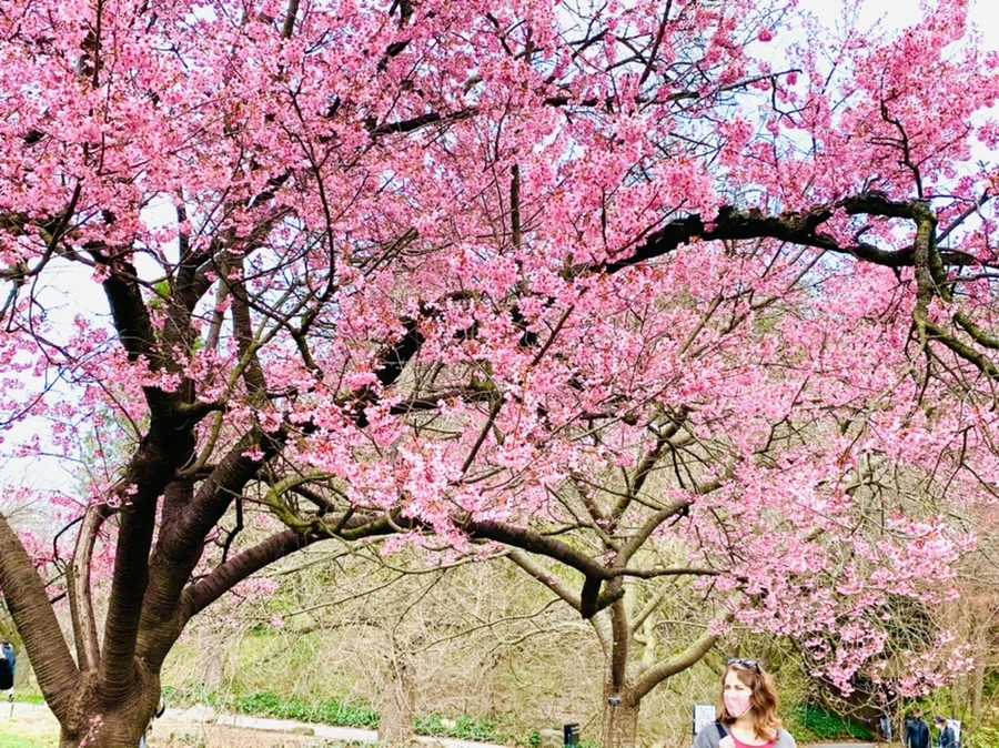 IMG_7079.jpg?type=w966