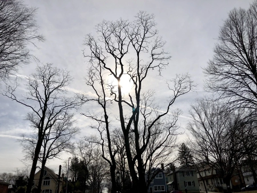 s9kfG3zo9h9BTwE3stzXkz3UfvE