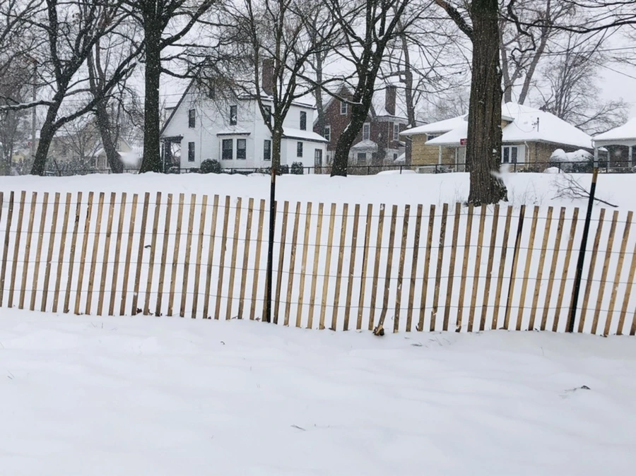 IMG_3350.jpg?type=w966