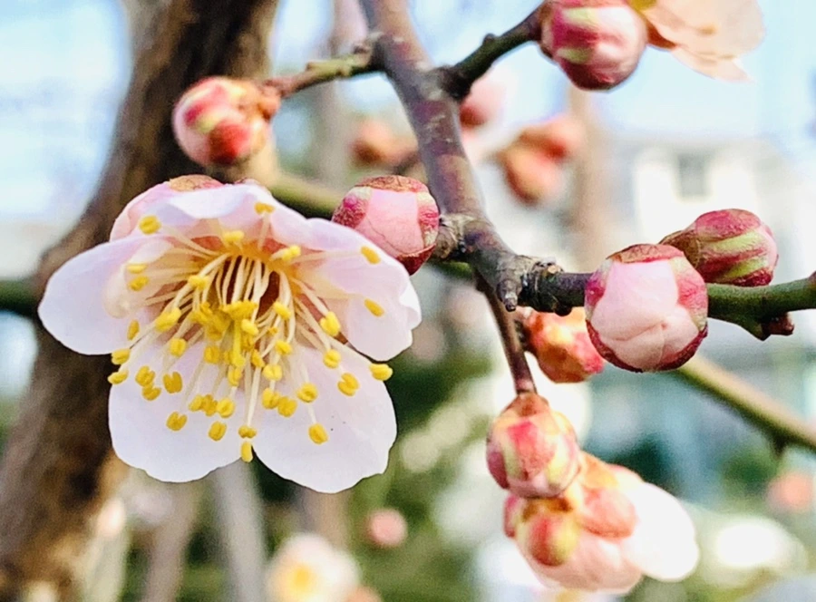 IMG_0255.jpg?type=w966