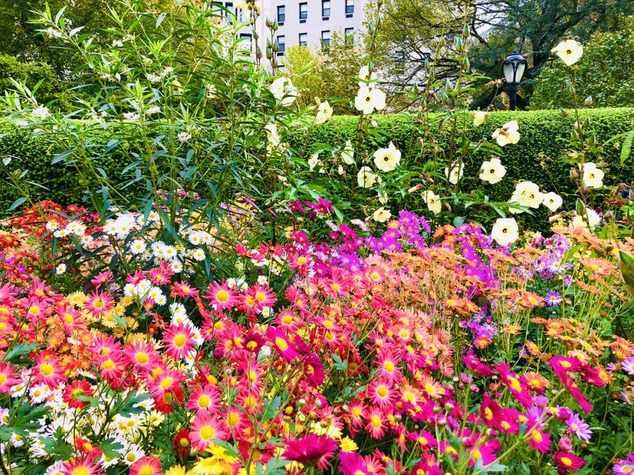 IMG_2499.jpg?type=w966