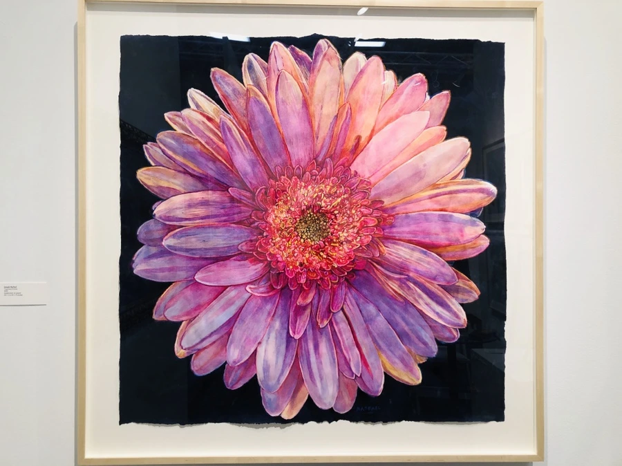 IMG_5853.jpg?type=w966