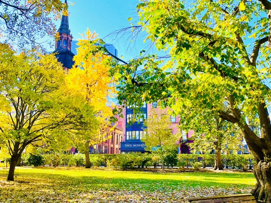 IMG_2595.jpg?type=w966