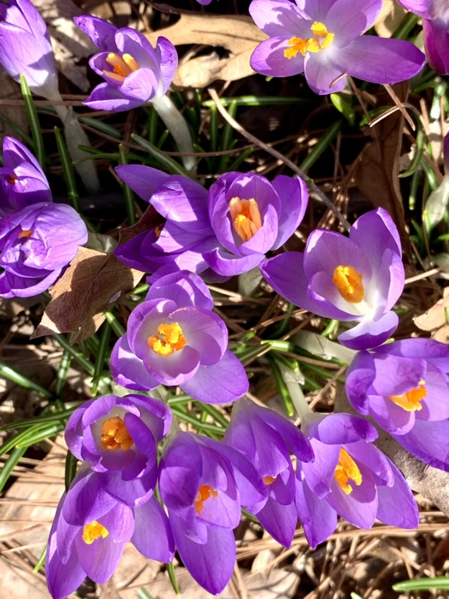 IMG_9647.jpg?type=w966