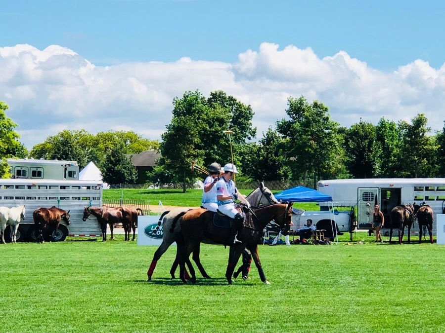 IMG_0504.jpg?type=w966