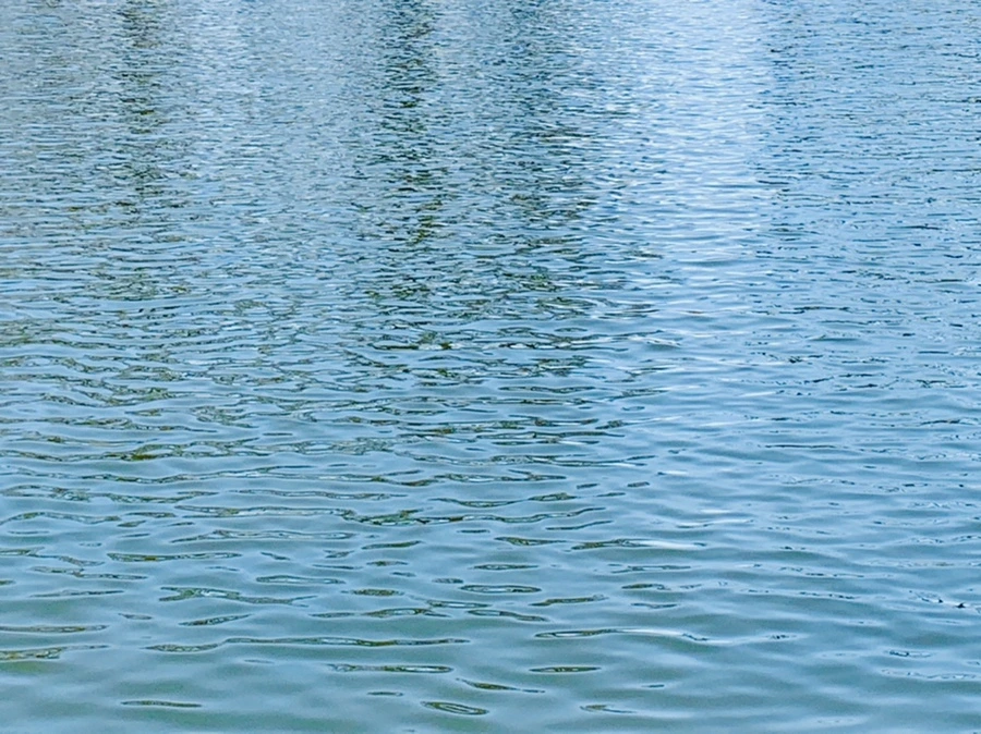 IMG_0081.jpg?type=w966