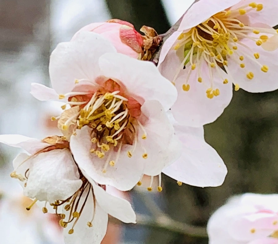 IMG_3624.jpg?type=w966