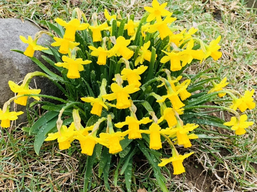 IMG_3709.jpg?type=w966