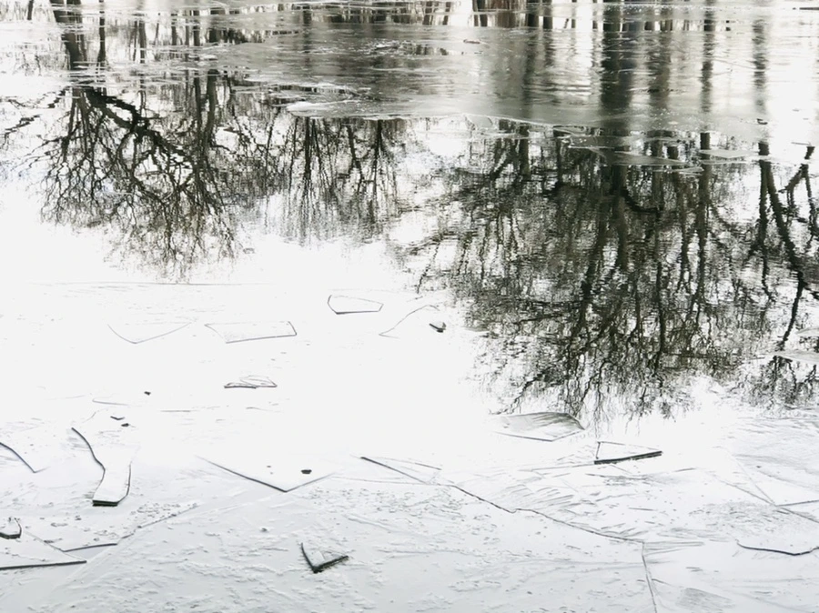 IMG_4770.jpg?type=w966